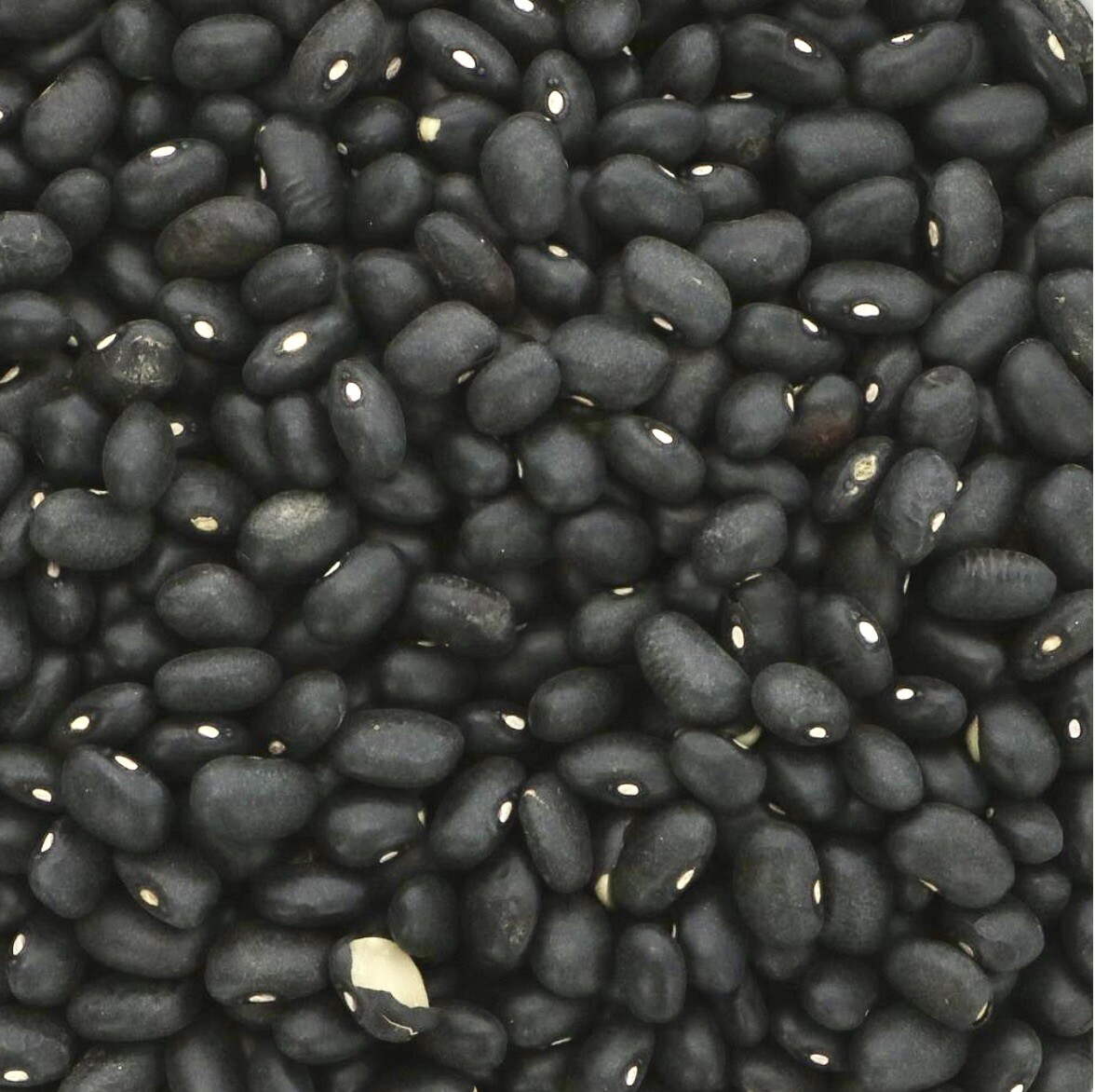 Black turtle beans