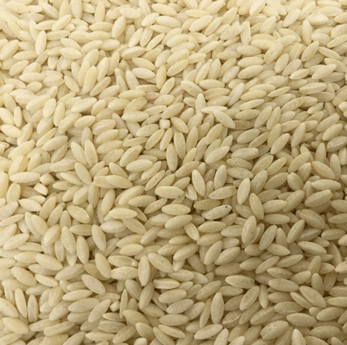 Organic Orzo