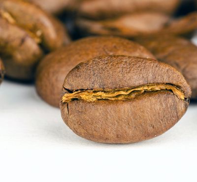 GUEST COFFEE: Organic fair-trade Bolivian coffee beans
