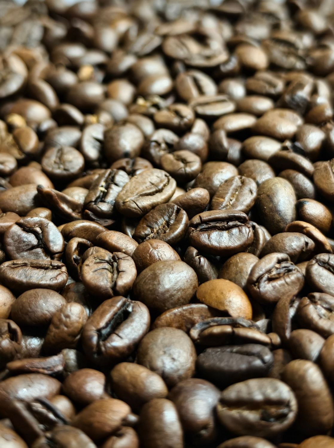 GUEST COFFEE: Organic fair-trade Colombian coffee beans