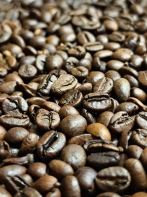 GUEST COFFEE: Organic fair-trade Colombian coffee beans