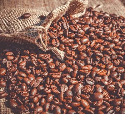 GUEST COFFEE: Organic, fair-trade Ethiopian Sidamo coffee beans