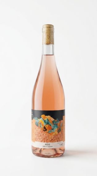2025 Thirsty Birds Rose