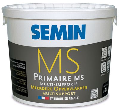 Semin Primer MS