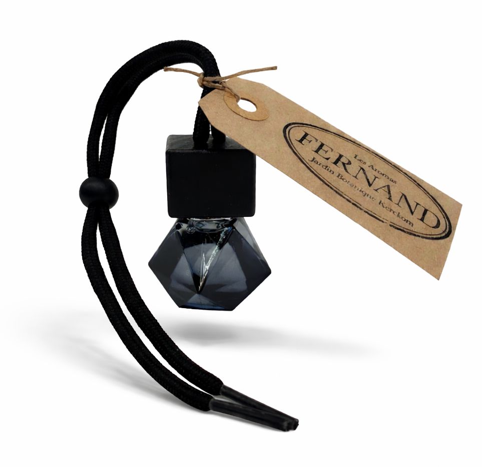 FERNAND Minidiffuser auto - gevuld met Atelier Rebul Istanbul