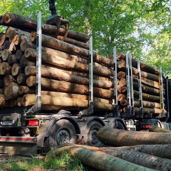 Bois Résineux en Grumes – Livraison Camion Complet 50 Stères – Certifié PEFC