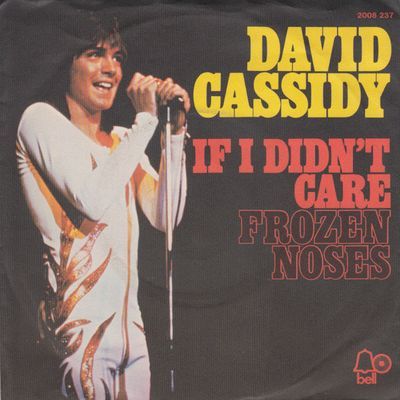 David Cassidy - If I Didn't Care
