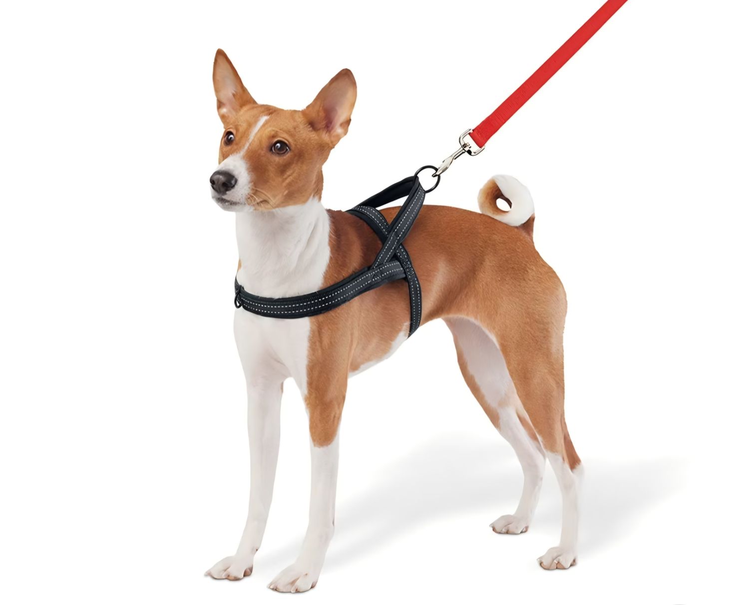 No Pull Comfort Dog Harness - S 