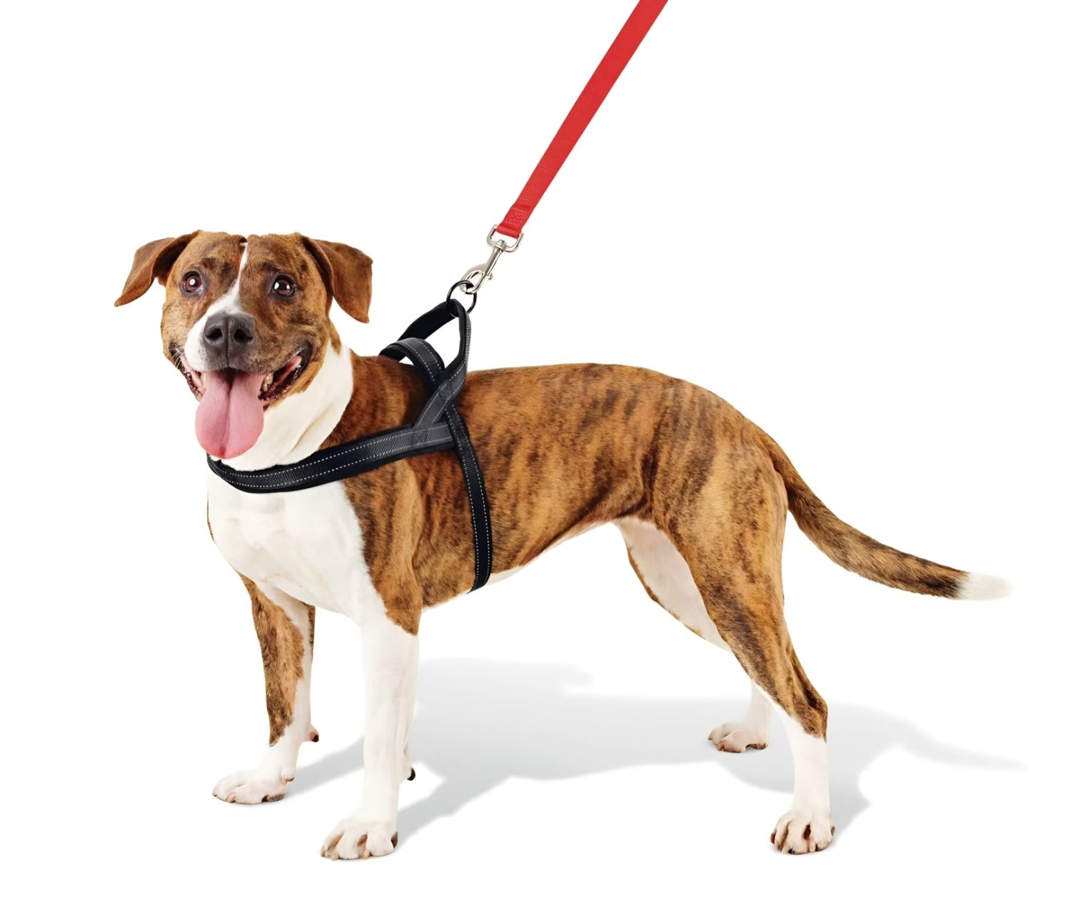 No Pull Comfort Dog Harness - L 