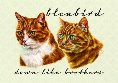 Bleubird - Down Like Brothers (Lathe, 5", Shape, S/Sided, Card, Ltd, Pic) (Mint (M))
