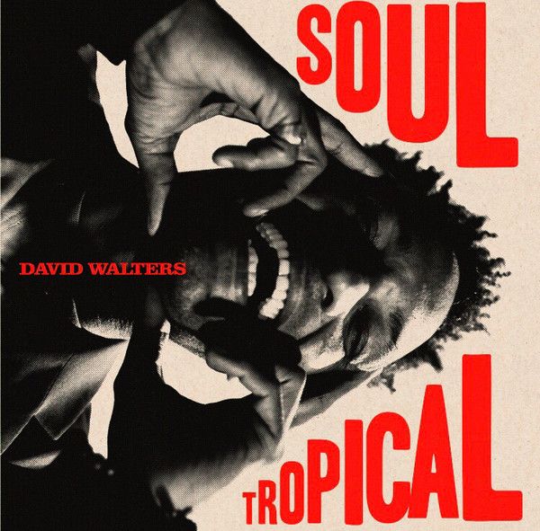 David Walters - Soul Tropical (2xLP, Album) (Mint (M))