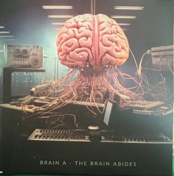 Brain A - The Brain Abides (LP, Ltd) (Mint (M))