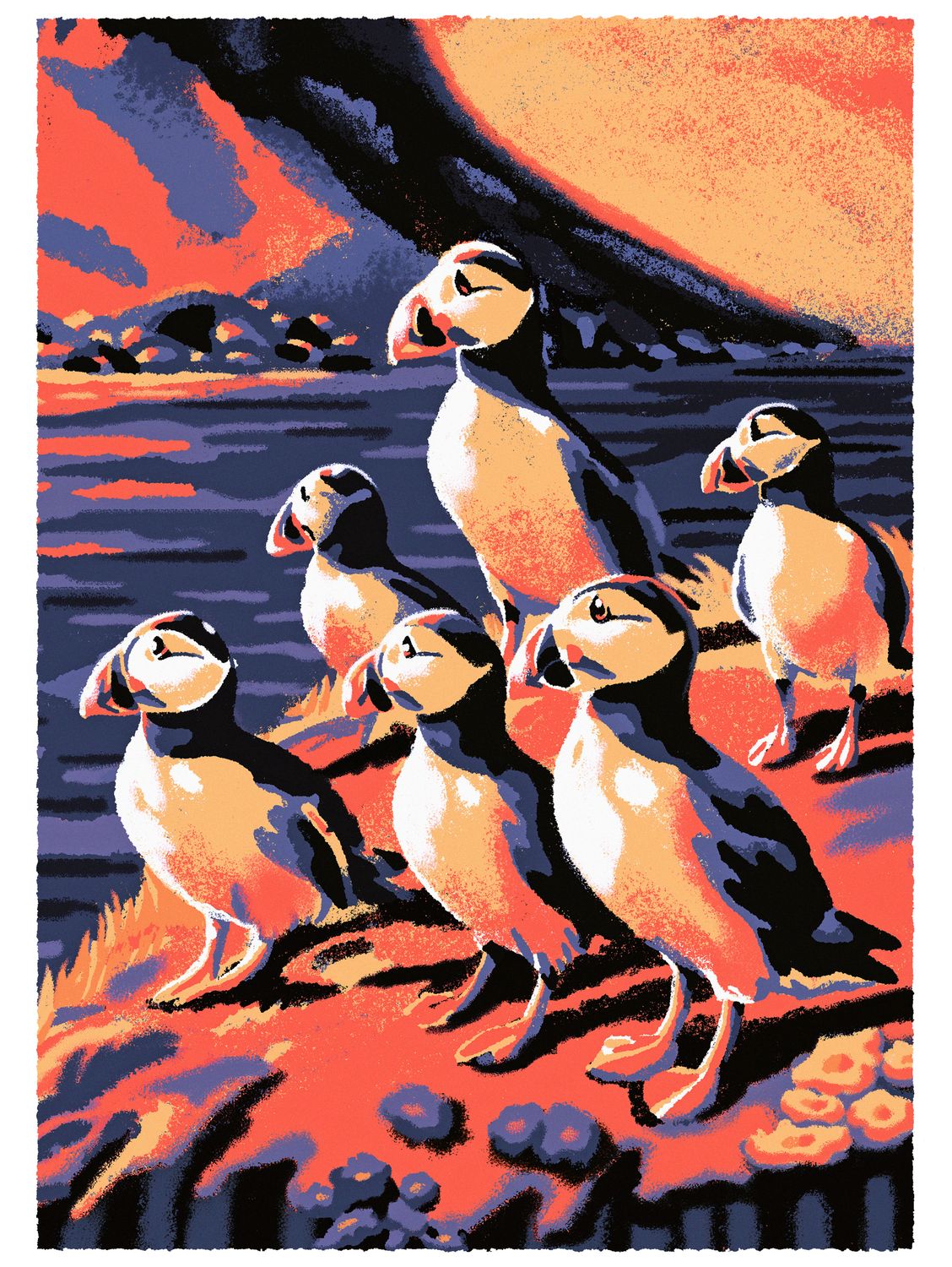 &quot;Puffin&quot;
