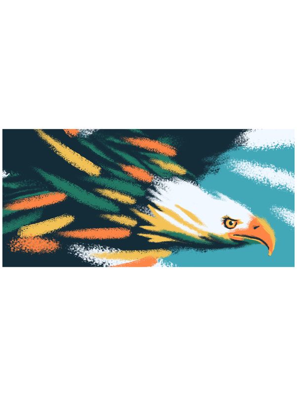 &quot;Fly Like an Eagle&quot;
