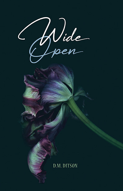 Wide Open Wide Open