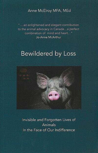 Bewildered by Loss: Invisible and Forgotten Lives of Animals in the Face of Our Indifference Bewildered by Loss: Invisible and Forgotten Lives of Animals in the Face of Our Indifference