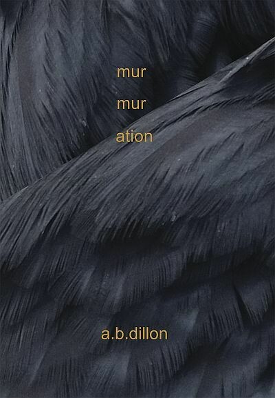 Murmuration Murmuration
