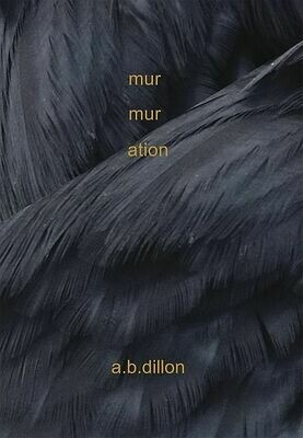 Murmuration