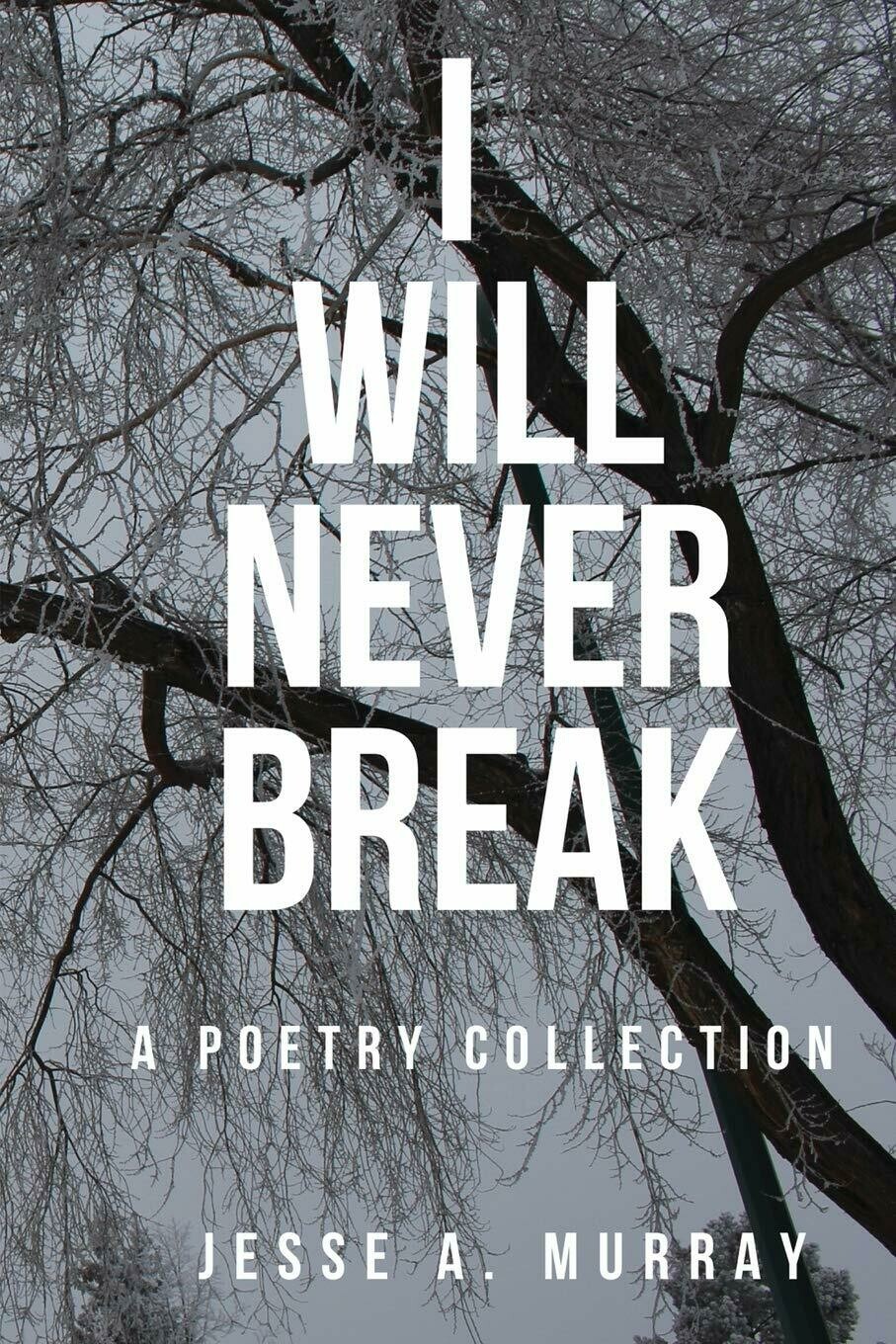 I Will Never Break: A Poetry Collection I Will Never Break: A Poetry Collection