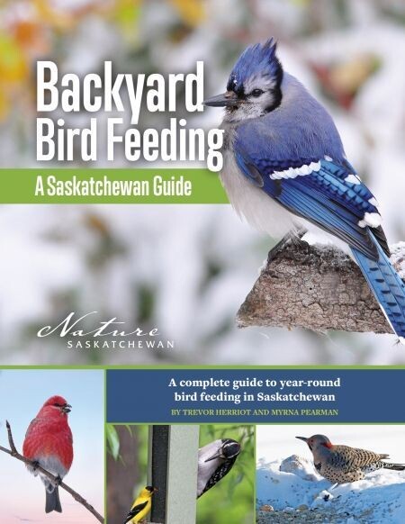 Backyard Bird Feeding: A Saskatchewan Guide