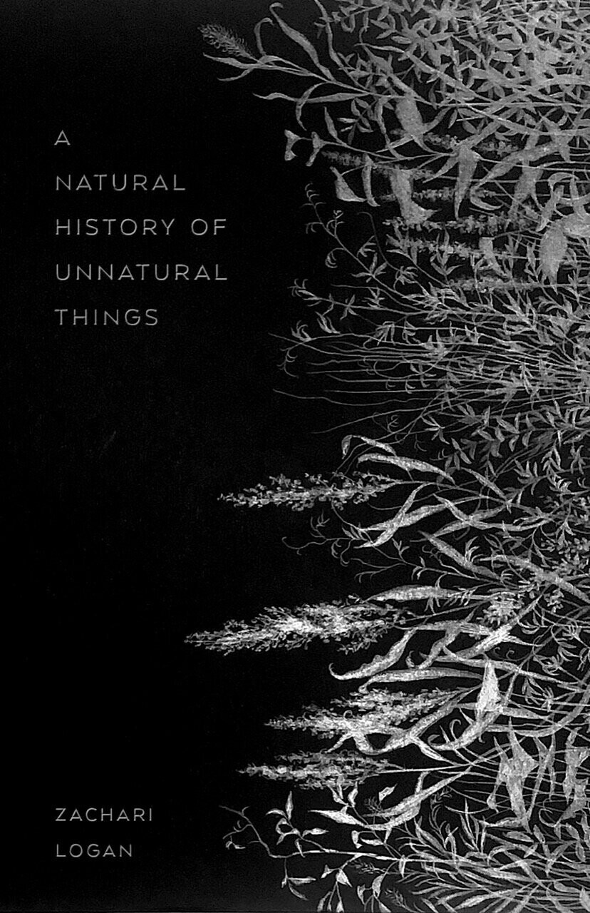 Natural History of Unnatural Things, A