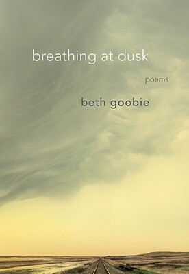 breathing at dusk: poems