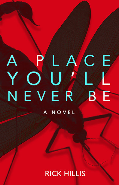 Place You'll Never Be, A : A Novel Place You'll Never Be, A : A Novel