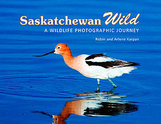 Saskatchewan Wild: A Wildlife Photographic Journey Saskatchewan Wild: A Wildlife Photographic Journey