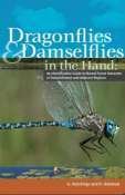 Dragonflies & Damselflies in the Hand