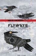 Flyways Flyways
