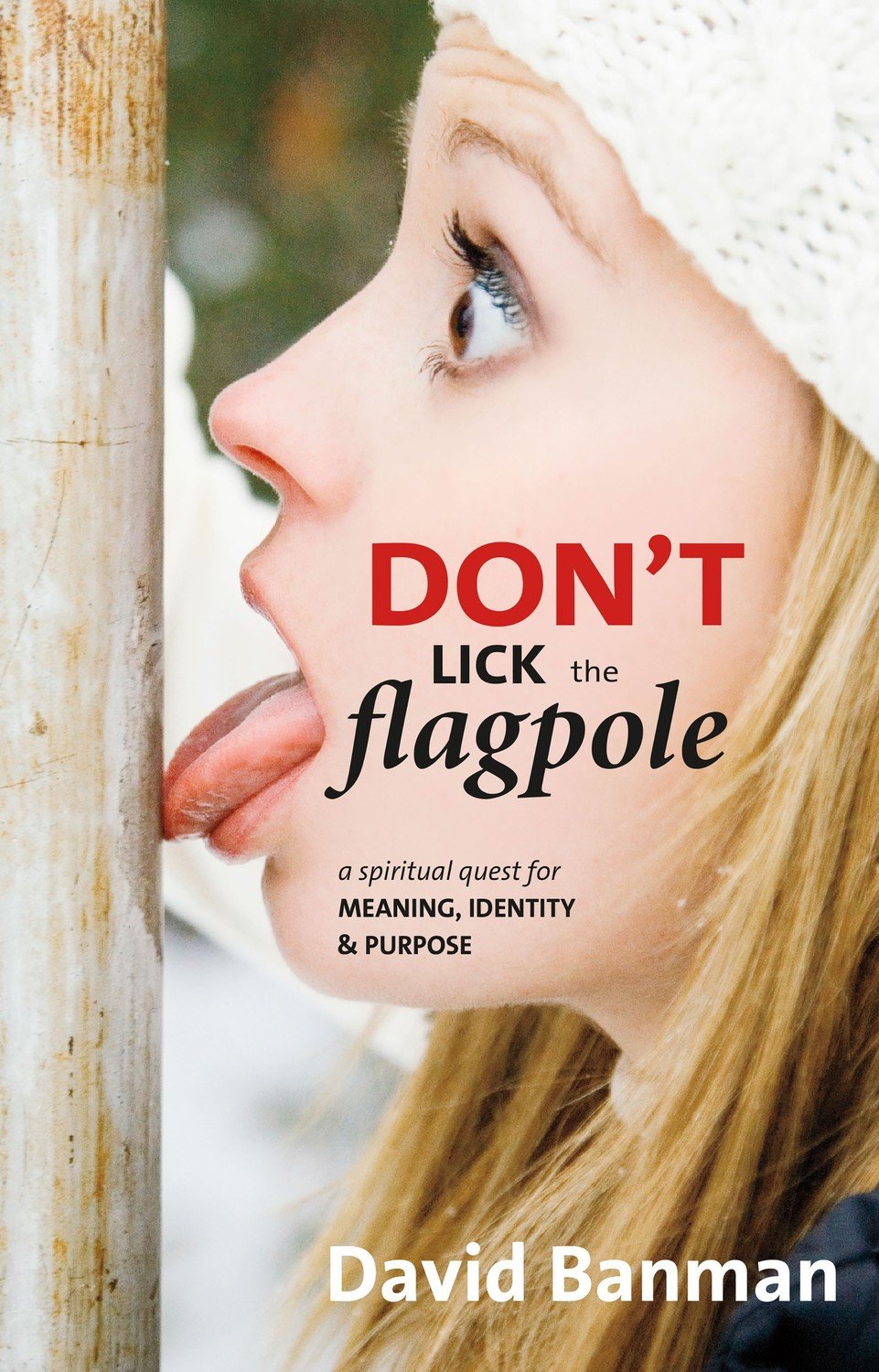 Don't Lick the Flagpole: A Spiritual Quest for Meaning, Identity, & Purpose Don't Lick the Flagpole: A Spiritual Quest for Meaning, Identity, & Purpose