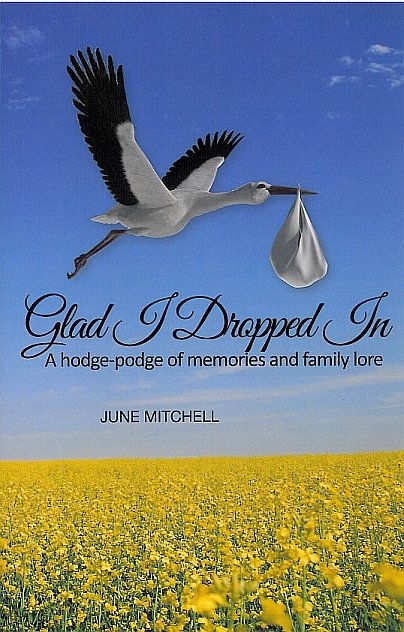 Glad I Dropped In: A hodge-podge of memories and family love