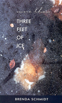 More Than Three Feet of Ice More Than Three Feet of Ice