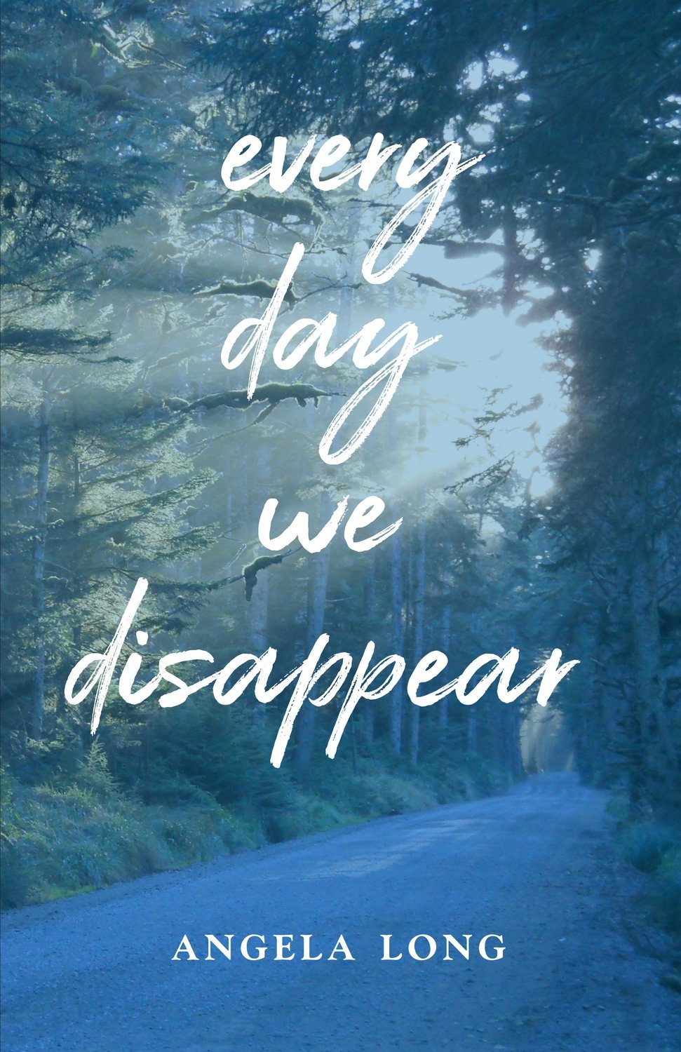 every day we disappear every day we disappear