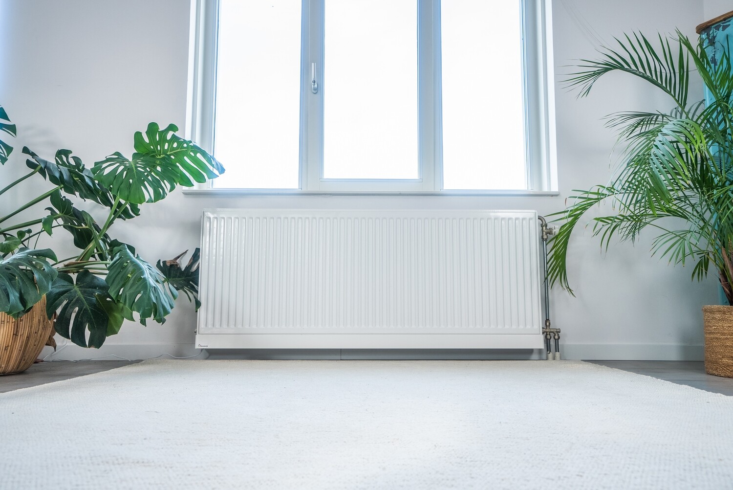 Radiator Pro [RP] 60