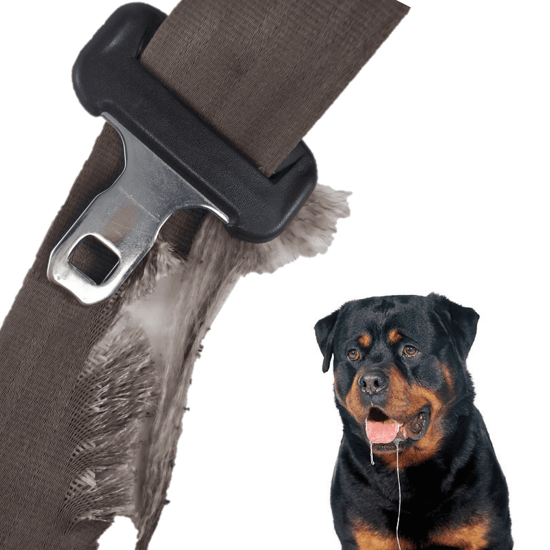 Dog Chewed Seat Belt Webbing (belt) Replacement