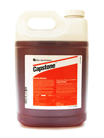 CAPSTONE