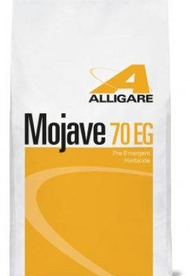 MOJAVE 70 EG