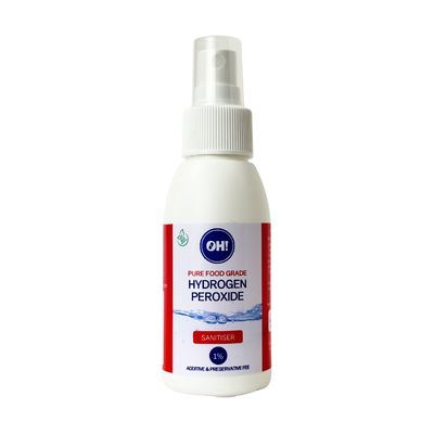 Sanitiser 100 ml