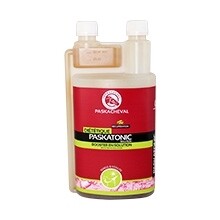 Paskatonic by PASKACHEVAL