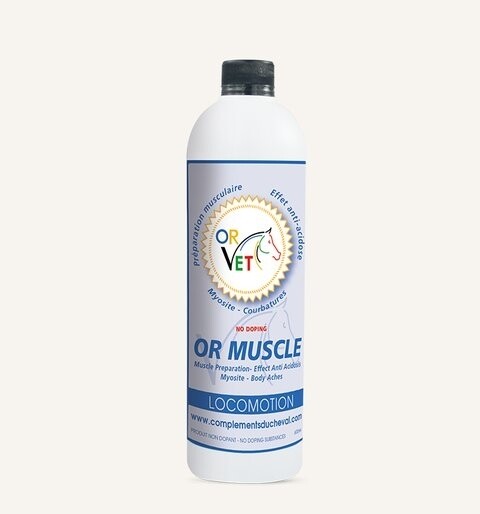 OR Muscle by ORVET