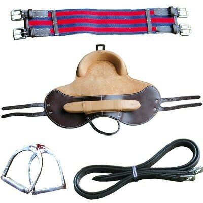 Bardette Educative Complete by CANTER Bardette Educative Complete by CANTER