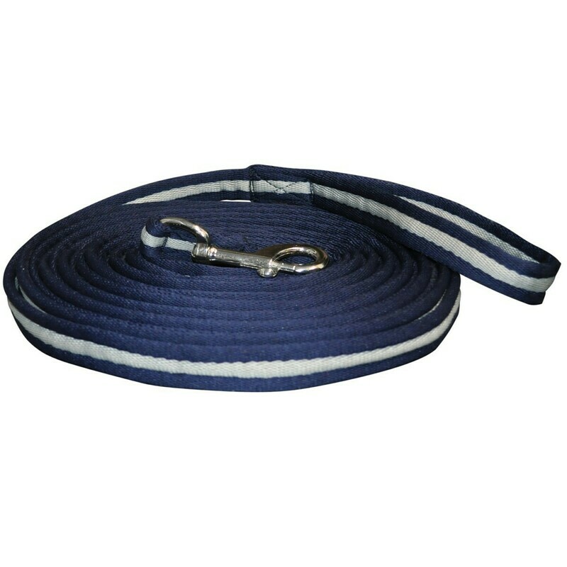 Longe a Tourner by Canter