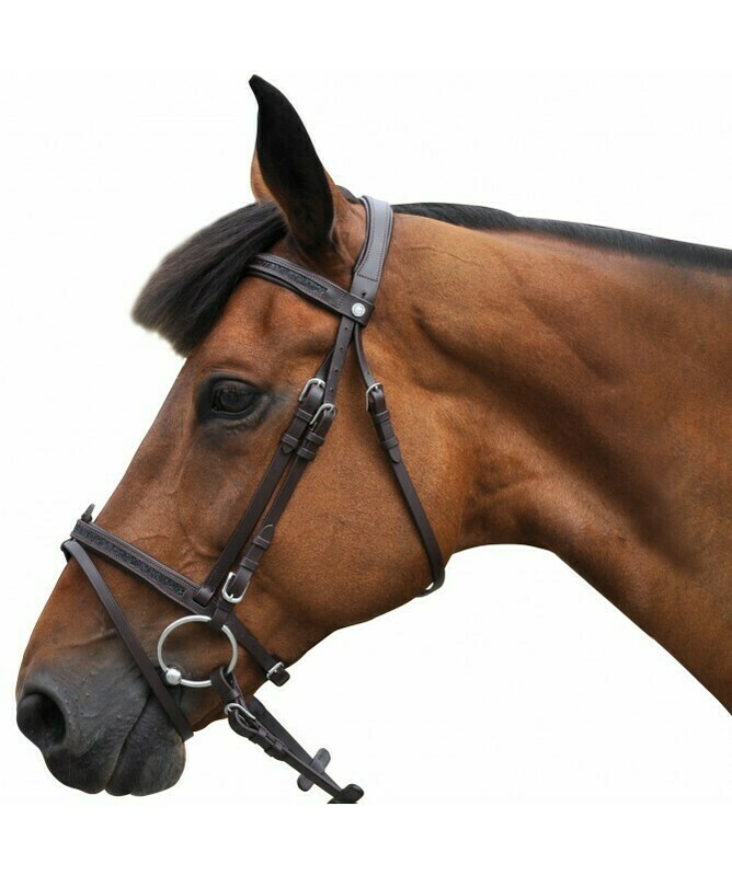 Bridon Black Strass by CANTER