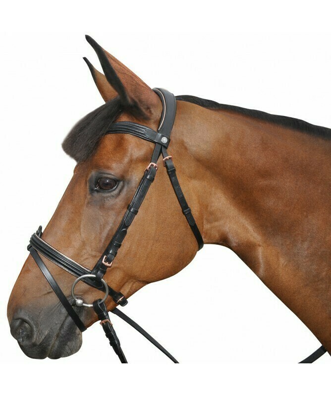 Bridon Rose Gold by CANTER