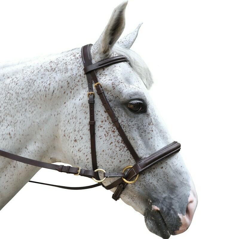 Bridon Bitless by CHETAK