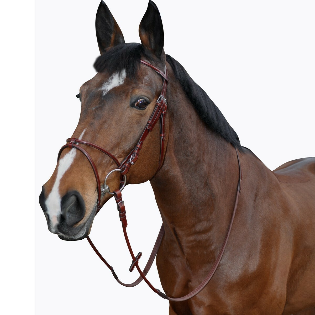 Bridon Atlanta Rond by LEXINGTON