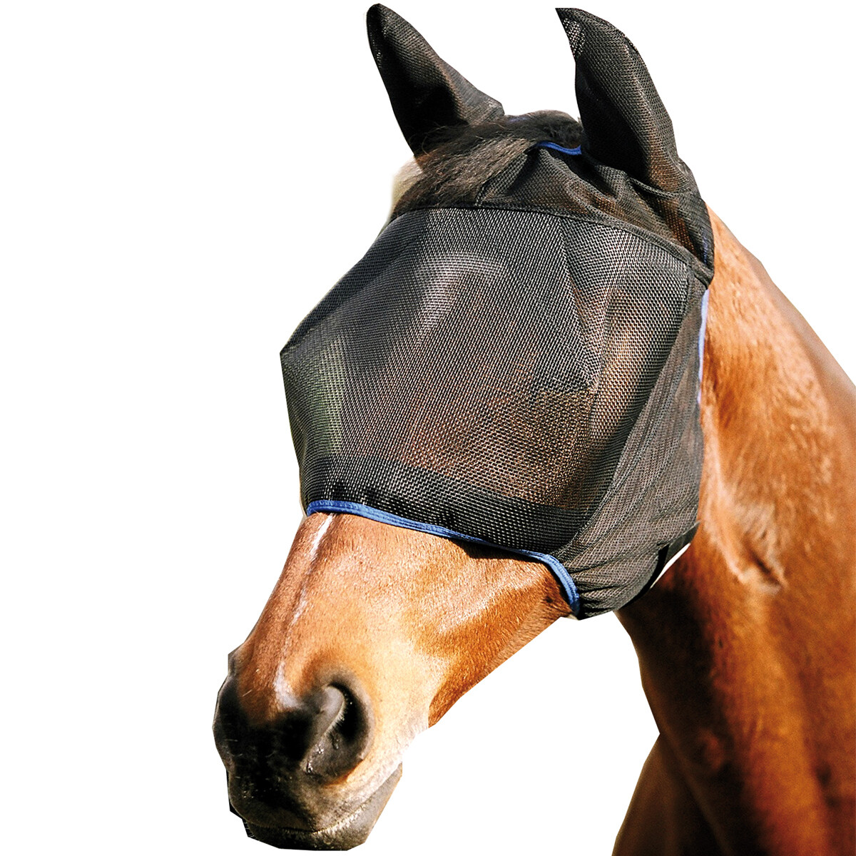 Bonnet Anti-Mouches Cheval Avec Oreilles - Rouge/Or | Protection Insectes Élégante