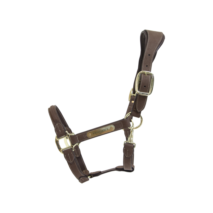 Licol anatomique en suedine by KENTUCKY