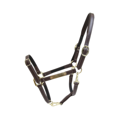 Licol en cuir flexible by KENTUCKY